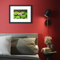 Lily Pad - Original Watercolor Painting