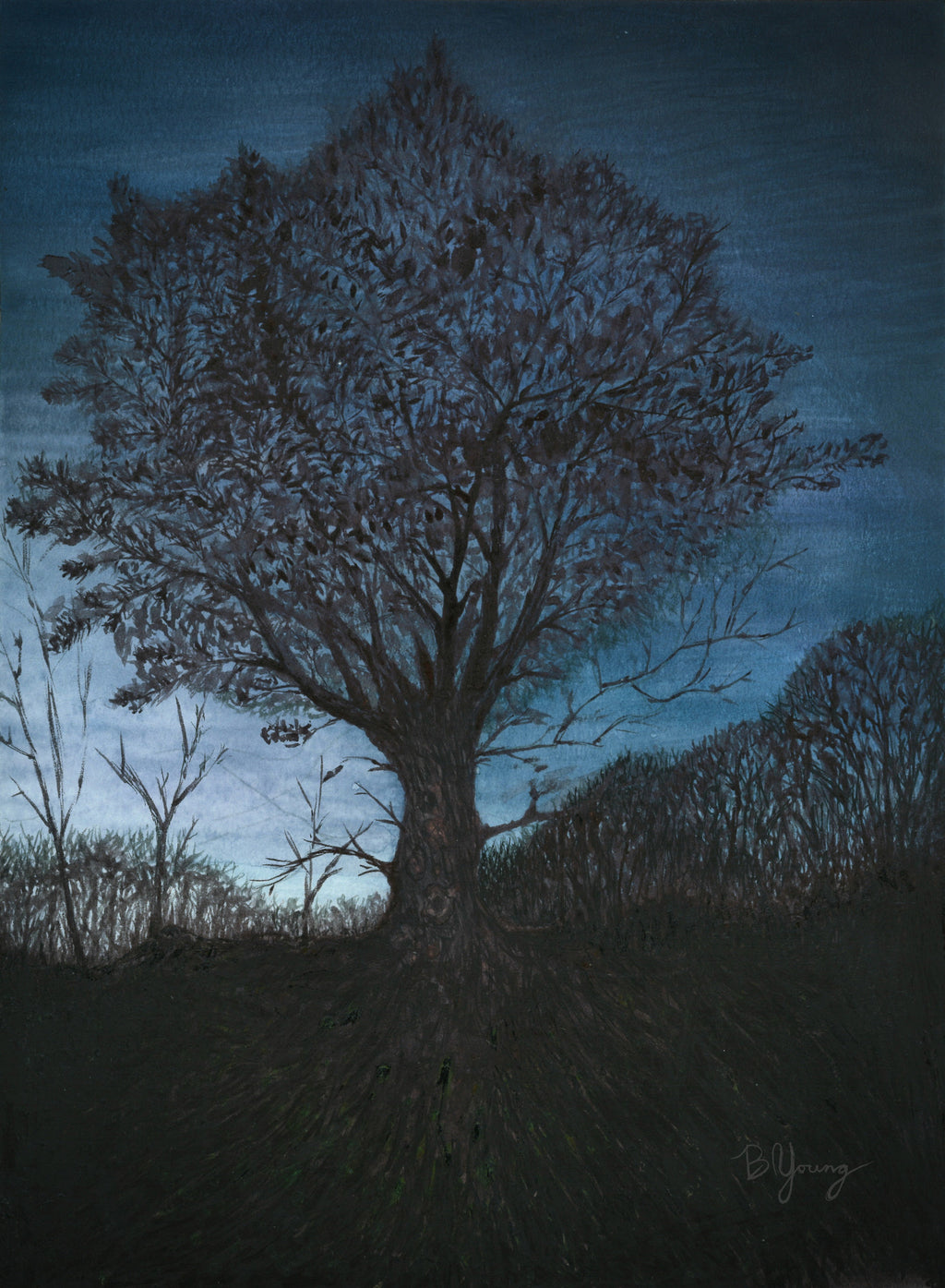 Fry's Tree - Original Watercolor Painting